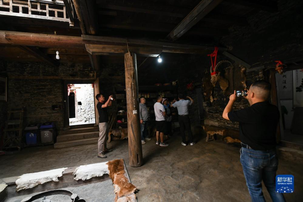 彩霸王论坛资料大全
